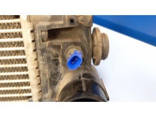 Интеркулер RF4P13565A, RF4P13565 Mazda Premacy 0.0