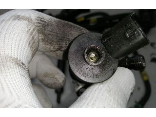 Комплект форсунок 0445110259    Citroen Xsara Picasso   