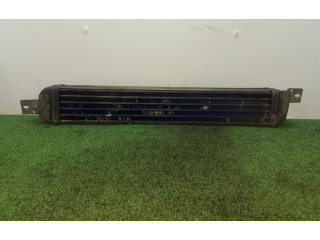 Интеркулер  52401245   Opel Meriva A 