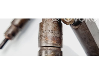 Комплект форсунок 0432193616, 0741302010H    Volvo S80   