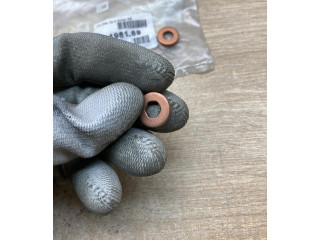 Форсунка 198169, 4Pcs    Citroen C1   