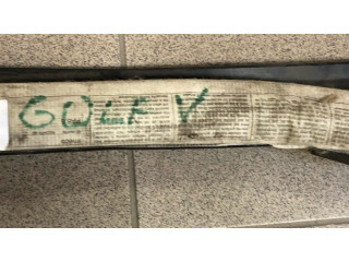 Боковая подушка безопасности 1K6880742J, VW3504TR Volkswagen Golf V