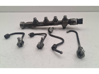 Топливная рампа 55234039, 324089 Fiat Freemont для двигателя 939B5000