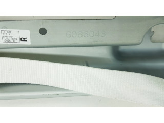 Надувная подушка для крыши