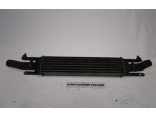 Интеркулер 55700449 Fiat Grande Punto