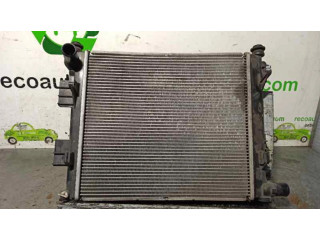 Радиатор охлаждающей жидкости