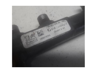 Vstřikovací lišta 110474794, 28497Z01   Citroen Berlingo    9HN 