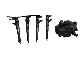 Комплект системы впрыска топлива 204D4    BMW X3 E83   