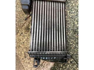 Интеркулер  T2935004, 21211   Opel Meriva B 