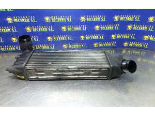 Интеркулер 1489396080 Citroen C8