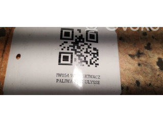 Форсунка IW054 Citroen Xantia