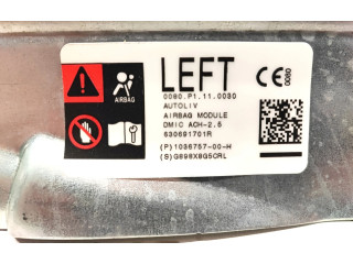 Надувная подушка для крыши 1036757-00-H Tesla Model X (XXX)