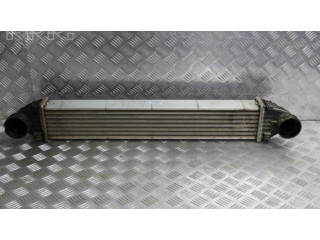 Интеркулер 1695000900 Mercedes-Benz A W169 2.0