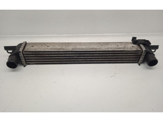 Интеркулер 51790623 Citroen C5