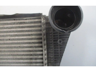 Интеркулер  1K0121345M, 1K0121345M   Skoda Octavia Mk2 (1Z) 