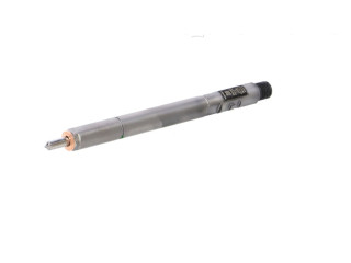 Форсунка R04401D, R04401D SsangYong Kyron