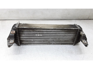 Интеркулер     Ford Transit -  Tourneo Connect 1.8