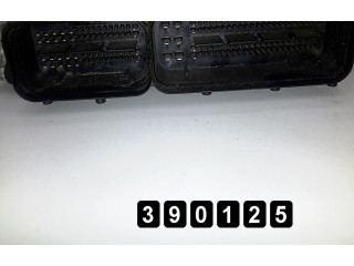 Řídící jednotka 251813430281016588 Chevrolet Captiva 2008