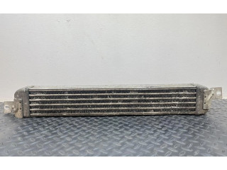 Интеркулер 52401015 Opel Meriva A