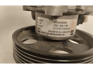 Поршень Насос усилителя руля D9B   Peugeot Expert  