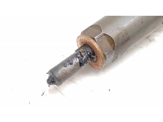 Форсунка 0445110216    BMW X3 E83 для дизельного двигателя 306D2 3