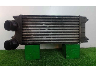 Интеркулер  300X153X80   Peugeot Partner 