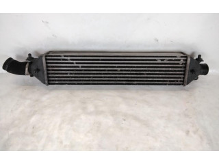 Интеркулер  51783791, 192A8000   Fiat Bravo 