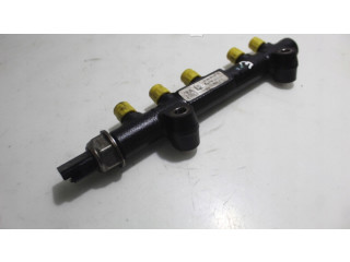 Топливная рампа 113262413   Citroen C3  