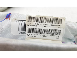 Боковая подушка безопасности 9804092280 Peugeot 2008 I