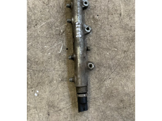 Топливная рампа 0445214076 Ford Ranger для двигателя WLAA