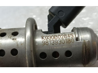 Форсунка 9813930180    Peugeot 2008 I  YH01 