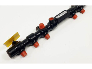 Топливная рампа A6650700295 SsangYong Rexton для двигателя D27DT