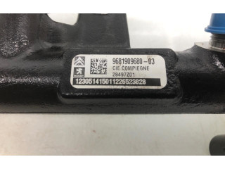 Топливная рампа 1841279, 9M5Q-9D280-AB Ford Kuga II для двигателя UFMA