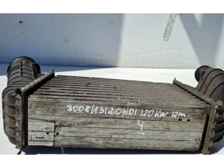 Интеркулер  9674720580   Peugeot 3008 I 