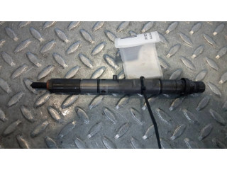 Форсунка 0591300201F, 0432133795    Audi A4 S4 B6 8E 8H для дизельного двигателя  2.5