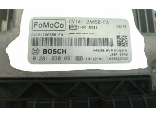 Блок управления CV1A-12A650-FA, 0281030891 Ford B-MAX