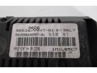 Дисплей    96632560XT, 1M1L05C7   Citroen C3