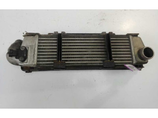 Интеркулер 279714600102 Tata Indica Vista I