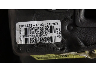 Zpětné zrcátko Ford F250 2019 LC3B-17683-CA5YGY, 20956019K