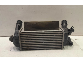 Интеркулер 2163154 Ford Ecosport