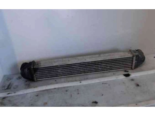 Интеркулер  1695000900, 1695000900   Mercedes-Benz A W169 