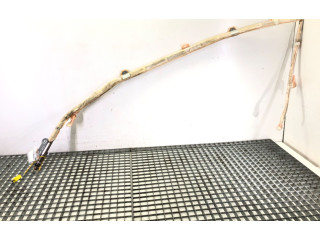 Надувная подушка для крыши    7L5880741D   Porsche Cayenne (9PA)