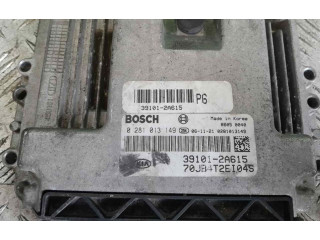 Блок управления двигателем Блок управления 0281013149 KIA Rio