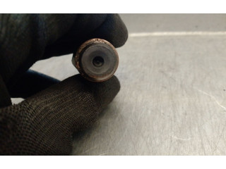 Vstřikovač LCR6736001, LCR6736001 Citroen Berlingo WJY