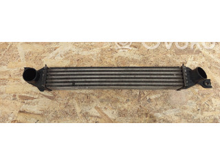 Интеркулер 275127707, G1327006 Mini One - Cooper Coupe R56