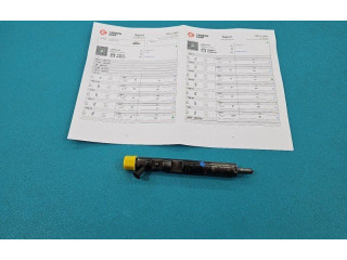 Форсунка EJBR05102D, IMPRK1446063 Dacia Logan I