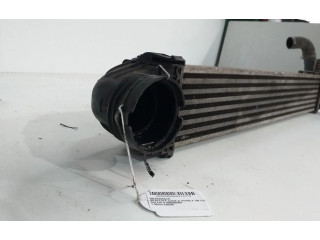 Интеркулер  A1695000000   Mercedes-Benz A W169 