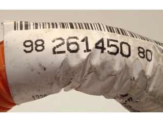 Блок управления 9826145080   Peugeot Partner III