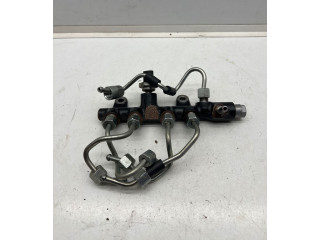 Vstřikovací lišta 0196515, 810PP1301 Renault Megane IV K9K