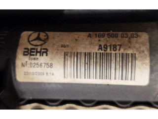 Zámek zadních dveří 1137328294, a1695000303 Mercedes-Benz A W169 2009